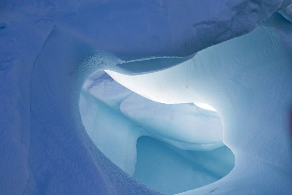 Antartica Gallery