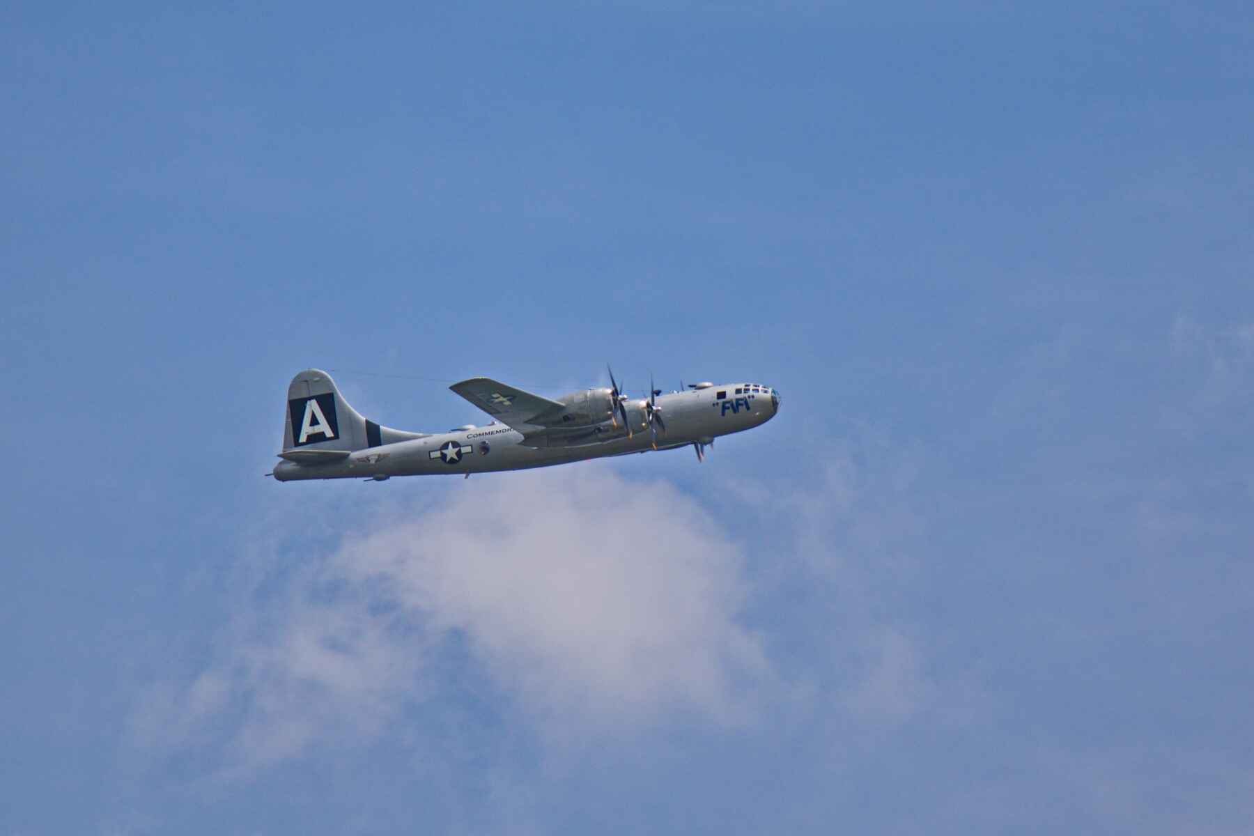 B29